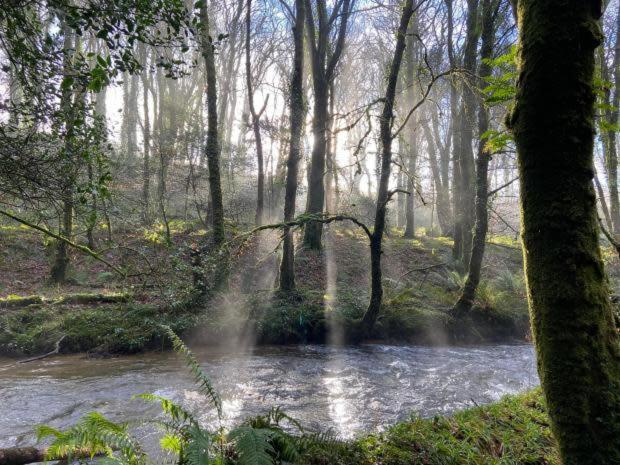 Willow Lodge, Wolfscastle Haverfordwest Esterno foto